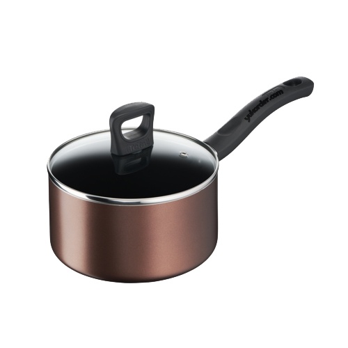 tefal day by day saucepan 18cm + lid