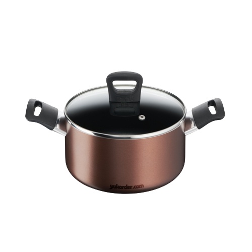 tefal day by day stewpot 20cm + lid