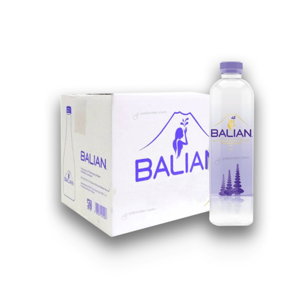 Balian Natural Mineral Water Pet 500ml - 1 Karton