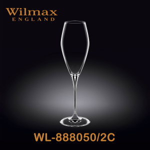 Wilmax Champagne Flute 10 fl oz 290ml 2 Set ICB | WL-888050/2C