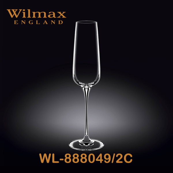 Wilmax Champagne Flute 10 fl oz 290ml 2 Set ICB | WL-888050/2C