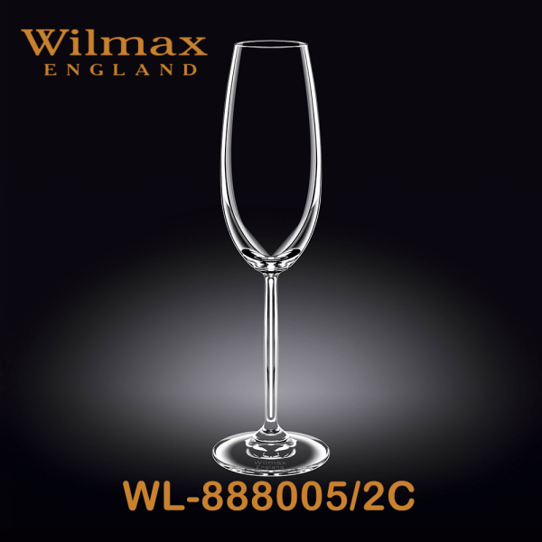 Wilmax Champagne Flute 8 fl oz 230ml 2 Set ICB | WL-888005/2C